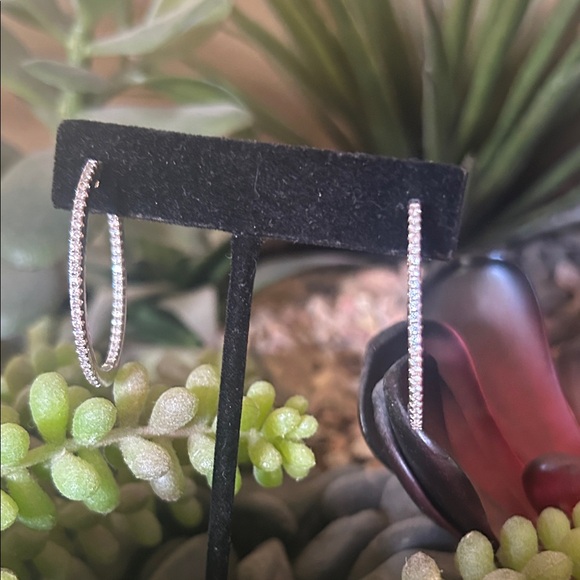 Elegant Silver Hoop Earrings